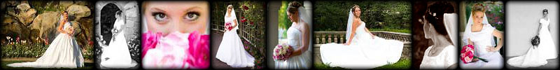 Wedding Slideshow Examples